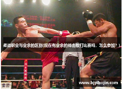 柔道职业与业余的区别(现在有业余的搏击散打比赛吗，怎么参加？)