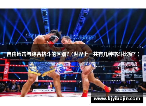 自由搏击与综合格斗的区别？(世界上一共有几种格斗比赛？)